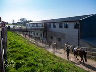 FB260322-2 - Fergal O'Brien Stable Visit